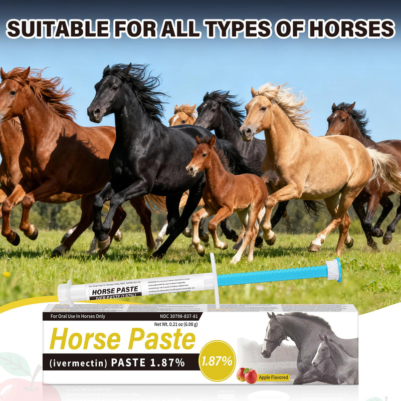 1 Pack Equine Paste 1.87% – (6.08g Each) Apple Flavored Oral for Horse