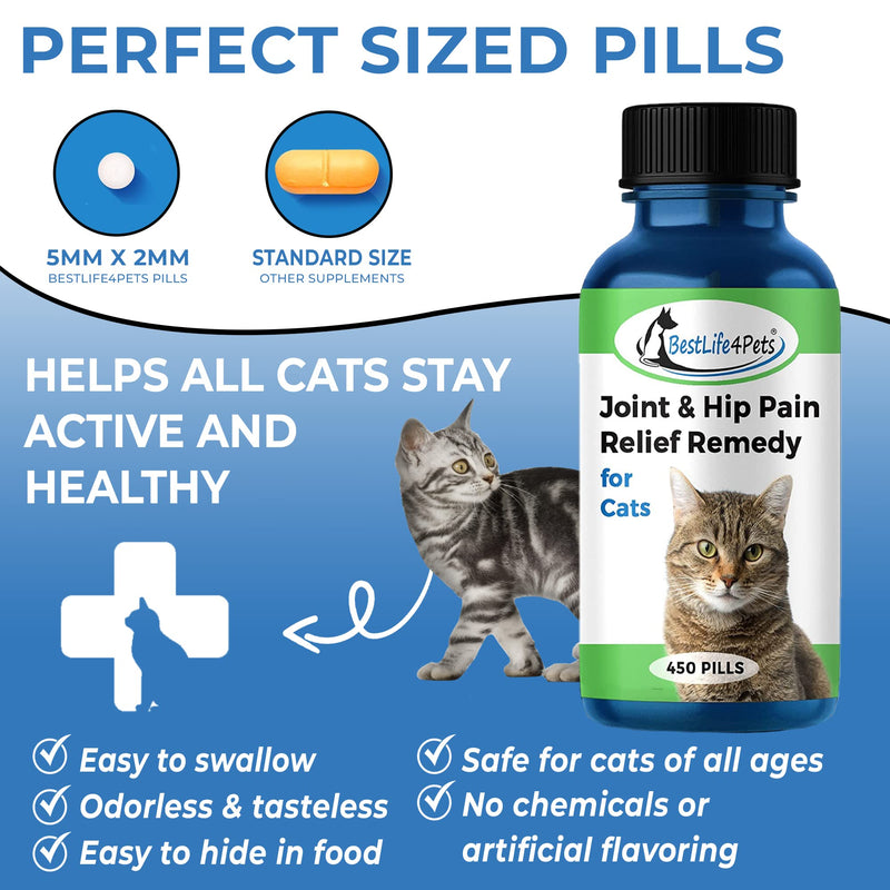 BestLife4Pets Cat Hip and Joint Supplement - Relief from Pain, Inflammation, and Injuries - Improve Mobility - No Odor or Taste - All Natural Easy to Use and Swallow - Pills