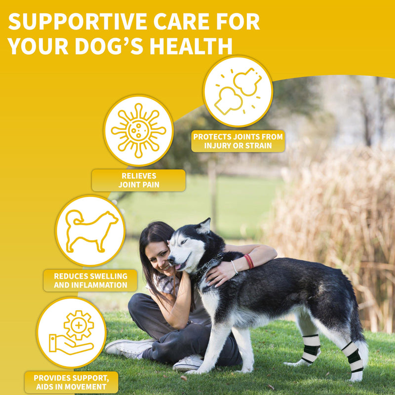 AGON® Dog Rear Brace Pair Hock Joint Brace with Metal Strings and Reflective Wraps Compression Straps Canine Back Leg Protects Wounds. Heals Prevents Injuries Sprains Loss of Stability by Arthritis Medium - PawsPlanet Australia