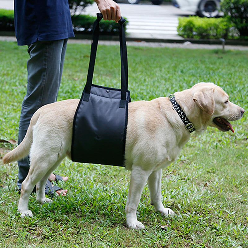 Adjustable Dog Harness Dog Training Carrier Soft Padded Leads Non Pull Lifts Harness Pet Carrier Support for Hind Legs Male Large Dogs
