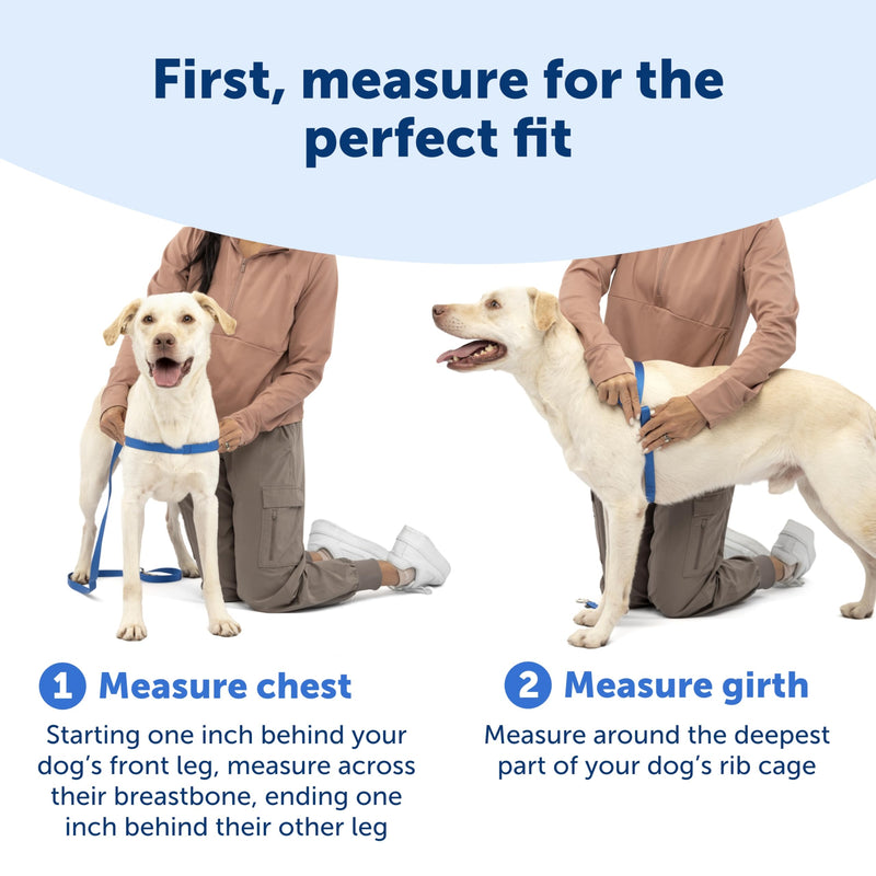 PetSafe Easy Walk Deluxe Dog Harness, No Pull Dog Harness – Perfect for Leash & Harness Training – Stops Pets from Pulling and Choking on Walks – Large, Apple Large (Pack of 1) Apple Green - PawsPlanet Australia