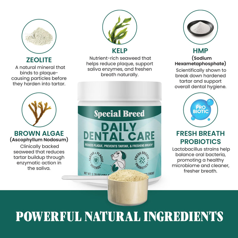 Dog Teeth Cleaning Powder – Natural Dog Dental Powder for Tartar Control, Fresh Breath & Gum Health – Daily Plaque Remover with Zeolite, Brown Algae, Probiotics & Rosemary – 180 Scoops 3.7 Ounce (Pack of 1)