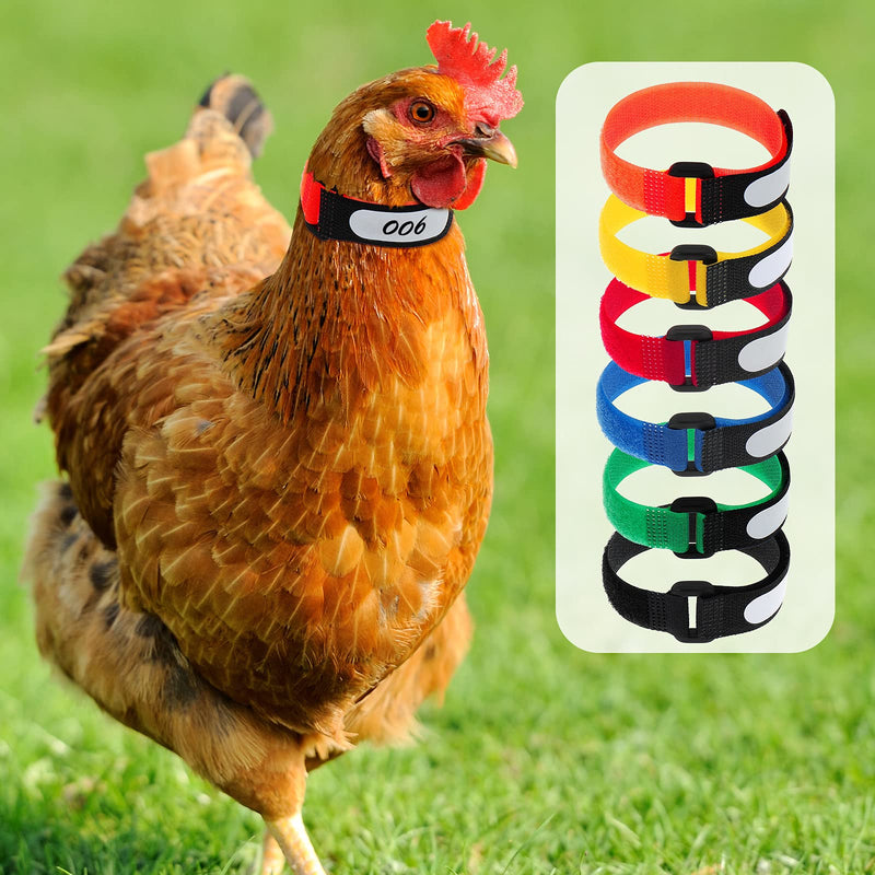 Shappy 48 Pieces Large Rooster Collar Crow Collar with Blank Label Anti Crow Noise Neck Belt Nylon Rooster Collar for Roosters Cockerel, Prevent Chicken from Screaming or Disturbing Neighbors - PawsPlanet Australia