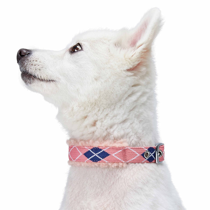Blueberry Pet Soft & Comfy Scottish Argyle Fleece Padded Adjustable Dog Collar with Metal Buckle - Pink, Neck 13-16.5", for Medium Breed (13"-16 1/2") Neck * 3/4" Wide (Pack of 1) Argyle - Pink - PawsPlanet Australia