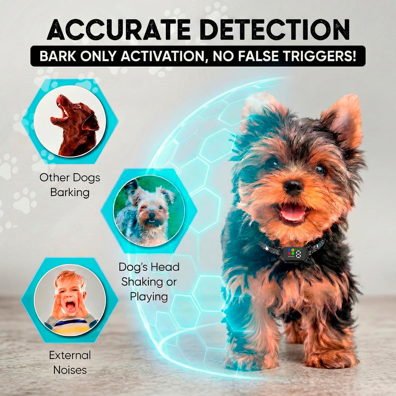 Tiny Bark Collar for Small Dogs 5-15 lbs and Puppies - No Shock Anti Barking Collar - Rechargeable Smart Collar for Dog Training with 7 Sensitivity Levels and 3 Beep&Vibration Modes (Black) Black - PawsPlanet Australia