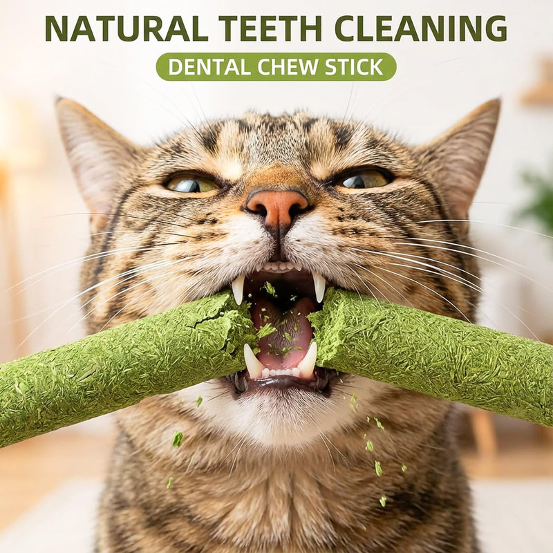 250g/8.82oz Cats Treat Cat Grass Teething Stick Kitten Toy Catnip Toys for Hairball Removal Freeze Dried Chew Dental Food for Indoor Kitty Lickable Edible Snack for Eliminate Fur Digestion Chicken 250g/8.82oz