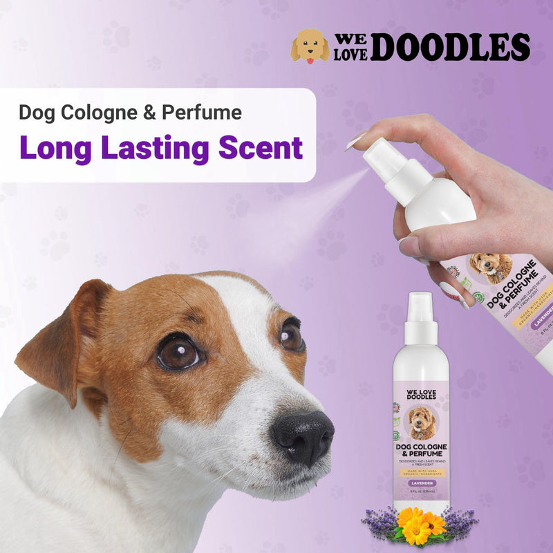 We Love Doodles Dog Face Comb and Dog Cologne & Perfume Bundle - Fine Tooth Flea Comb for Dogs and Tear Stain Remover Metal Comb - Deodorizing Pawfume for Pets, Organic, Long Lasting After Bath, Made - PawsPlanet Australia