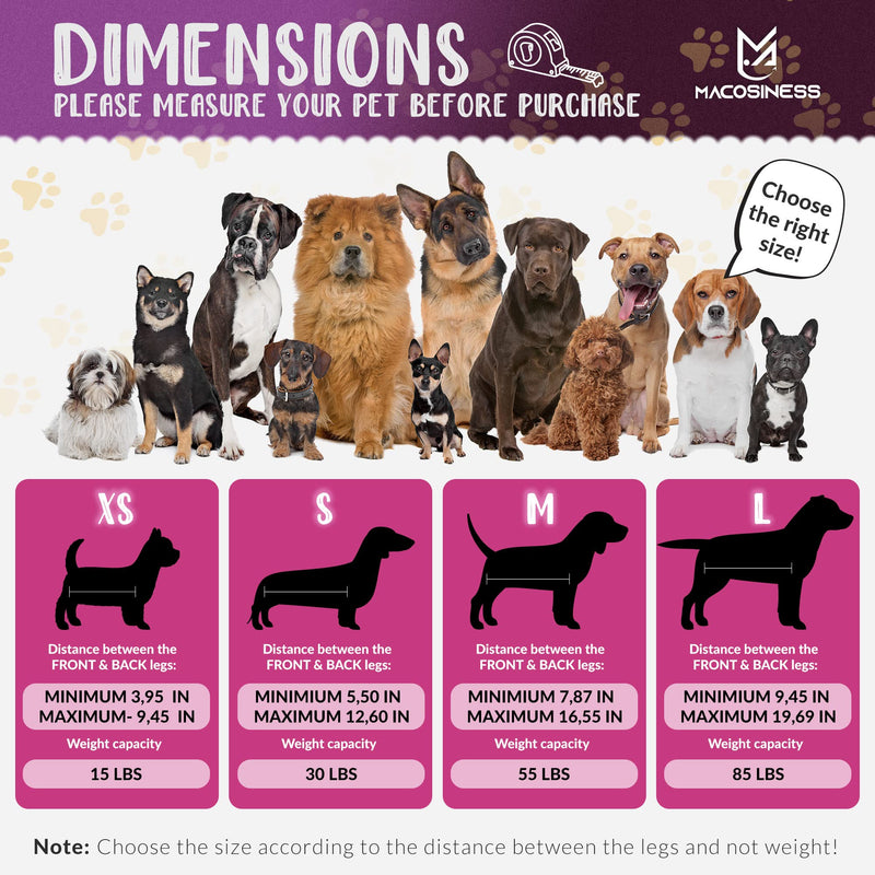 Pet Grooming Hammock for Nail Trimming - Complete Groomers Helper Set for Pet - Dog Grooming Hammock with Hook - Cat Nail Clipper - Dog Hammock for Nail Clipping (L, Purple with Gold Paws) PREMIUM SET - Purple with gold paws L - PawsPlanet Australia