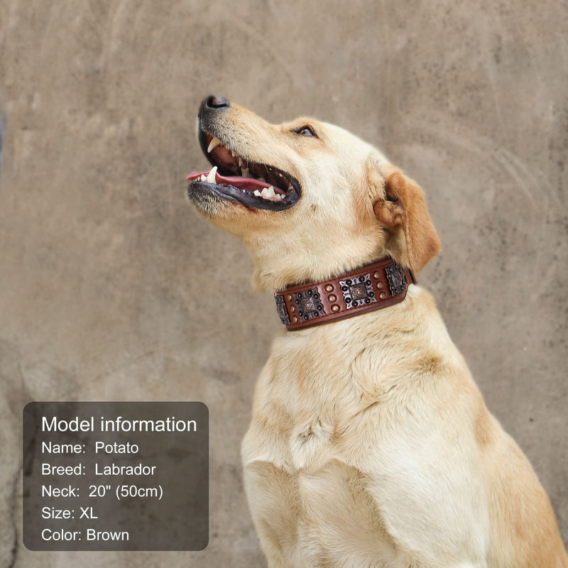 PET ARTIST Stylish Genuine Leather Dog Collar,2 inch Wide Soft Padded Leather Dog Collar for Medium & Large Dogs,Hand Made with Rivet Studded,Brown,Neck 19-22" L:Neck 19"-22"(47-55CM),Width 2" Brown - PawsPlanet Australia