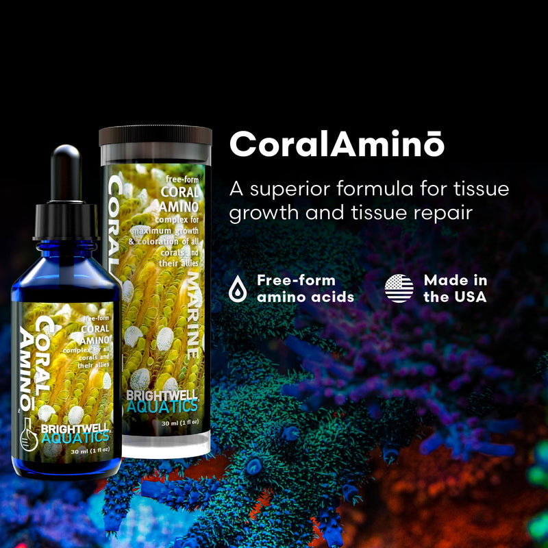 Brightwell Aquatics CoralAmino - Complex of Amino Acids for Corals - Coral food for Aquarium Coral Growth - Saltwater Aquarium Treatments, 1.01 fl oz 30-ML