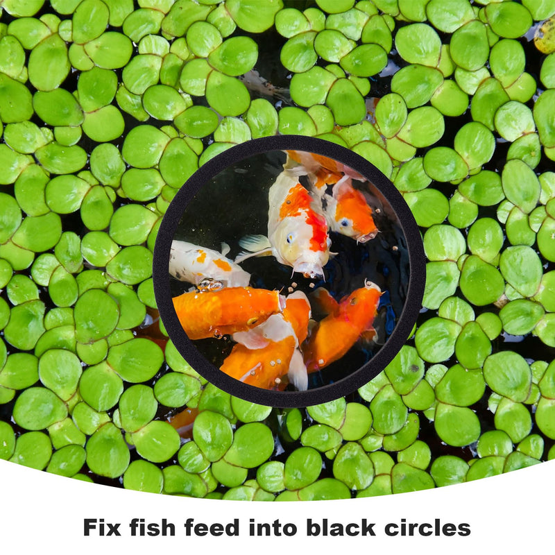 PAGOW 5pcs Fish Feeding Rings Set, Floating Aquarium Plant Corral, Round Fish Feeder Rings for Fish Tank, Floating Plant Ring, Fish Tank Aquarium Accessories for Betta (Black) Black(round) - PawsPlanet Australia