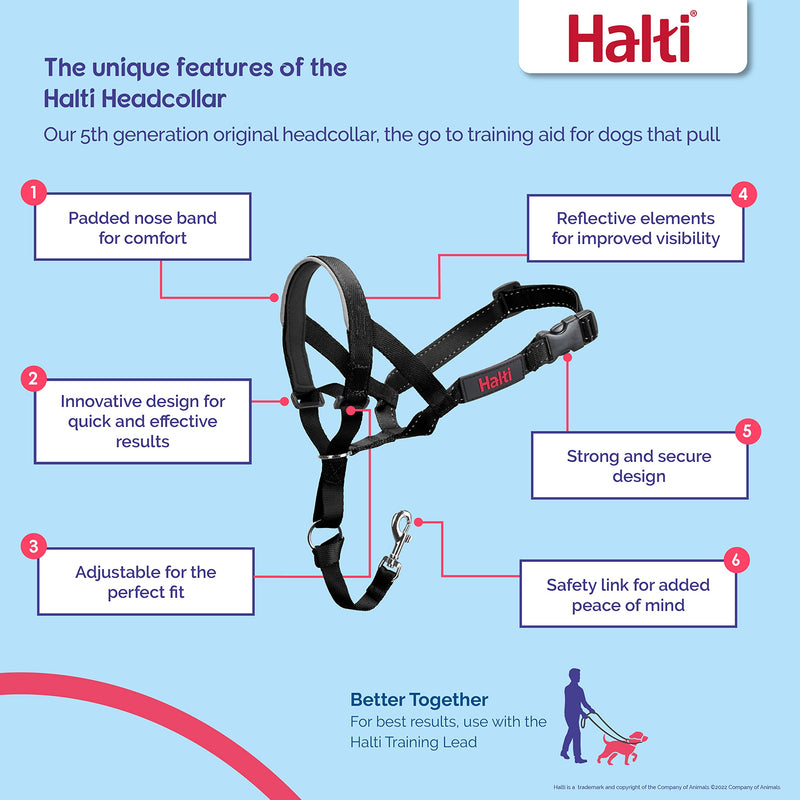 HALTI Headcollar - to Stop Your Dog Pulling on The Leash. Adjustable, Reflective and Lightweight, with Padded Nose Band. Dog Training Anti-Pull Collar for Medium Dogs (Size 3, Burnt Orange) - PawsPlanet Australia