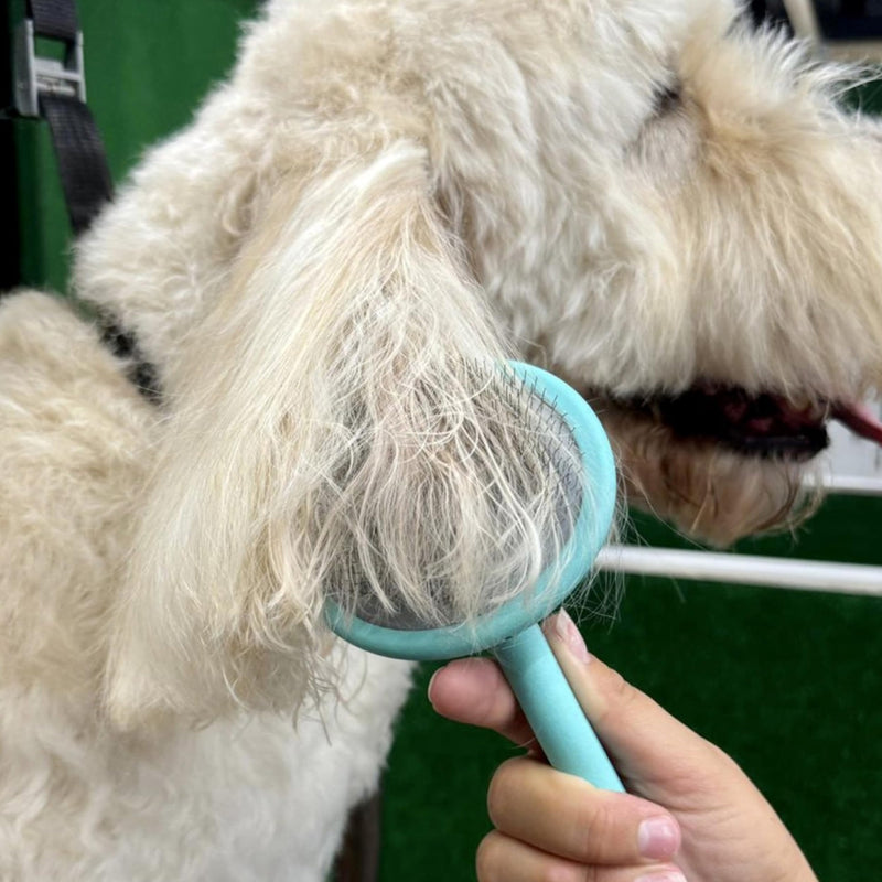 Masterclip Super Slicker Dog Brush – Oval Head with Flexi-Pins for Shedding & Detangling – Ideal for Curly, Double & Long Coats