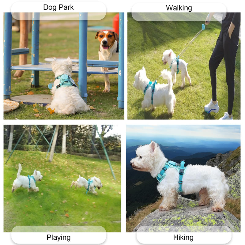 Dog Harness for Small Dogs up to 16lbs, 3-in-1 No Pull Lightweight Harness with 6.6ft Retractable,Wearable Leash Set,Front Clip,Handle,Reflective Dog Vest with Patch,Wrist Strap,Free Hand Leash-Blue XSmall (10-16lb) - PawsPlanet Australia
