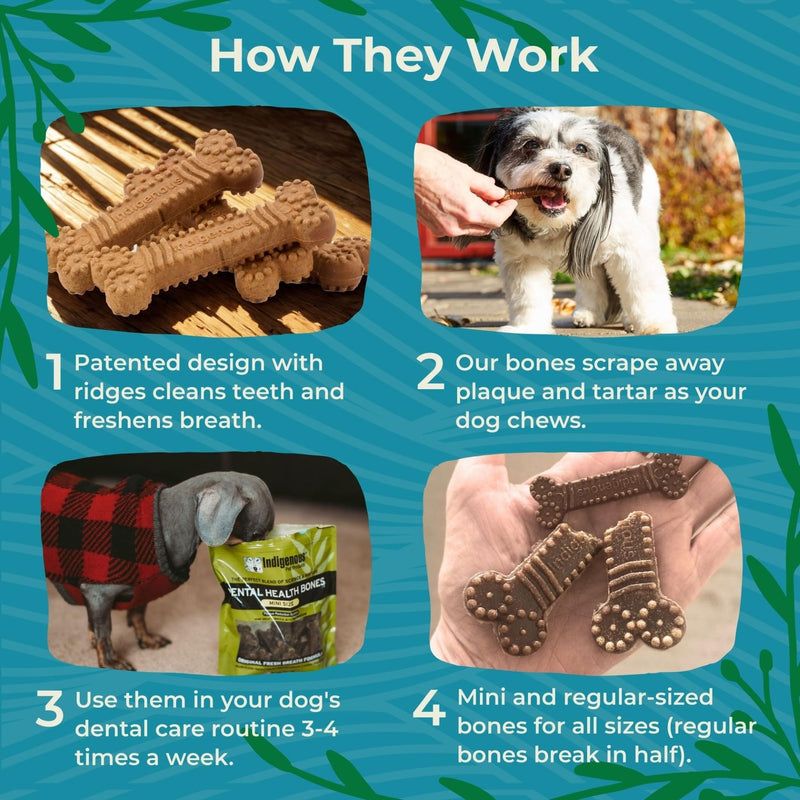 Indigenous Pet Dental Health Bones Mini 2 Pack – Original Fresh Breath (11.92 Ounce x 2) | Grain-Free Dog Chews with Prebiotics & Omegas | Freshens Breath, Supports Digestive, Skin & Coat Health | 11.92 Ounce (Pack of 2)