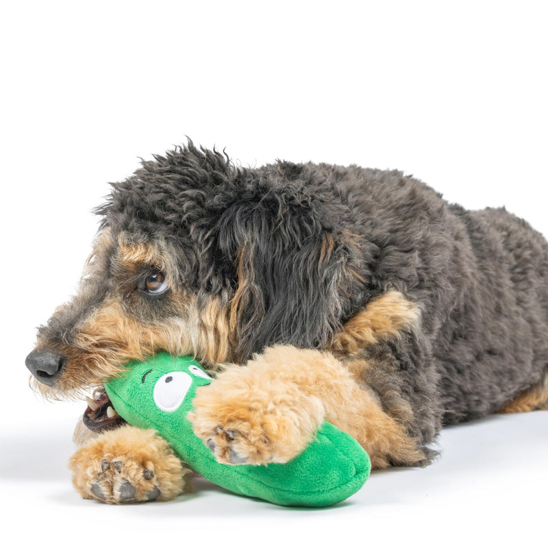 Huxley & Kent for Dogs | Dell Pickle (Small) | Funny Dog Toy | Power Plush Dog Toy with Squeaker | Dog Gift | Fun, Durable | H&K Squeaky Dog Toy Small - PawsPlanet Australia
