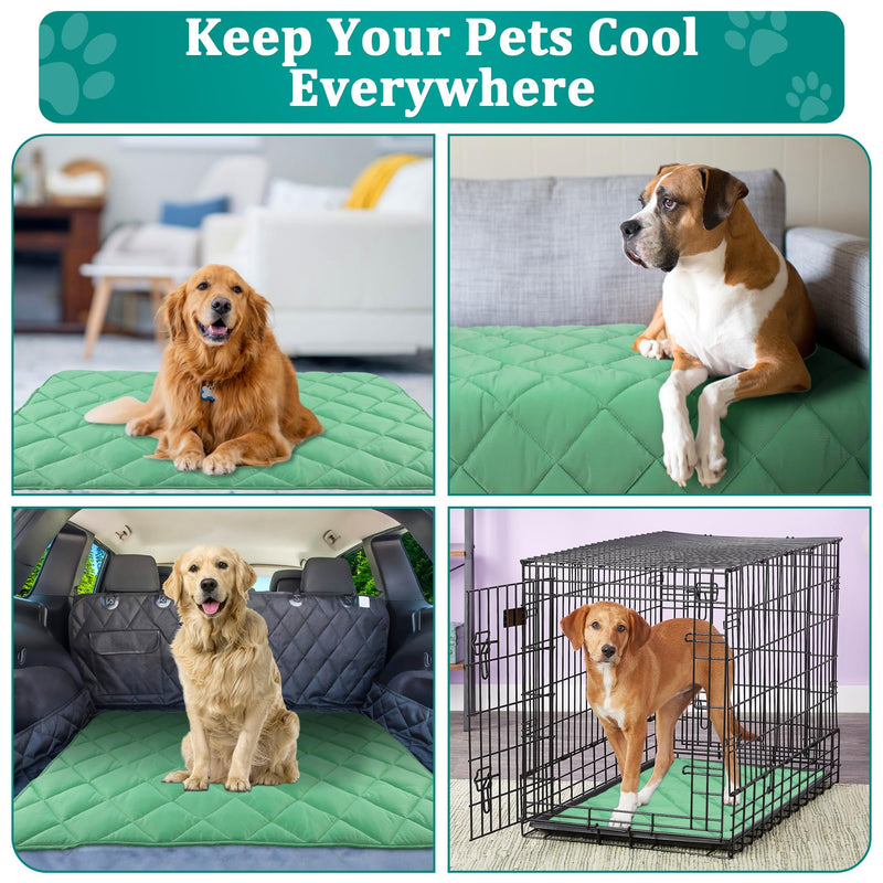 Cooling Blanket for Dogs, Dog Cooling Mat & Bed - Lightweight, Durable & Breathable Pet Throw for Couch, Sofa, Car and Furniture Protector, Reversible Design, Easy to Clean, 28"x40", Green M - PawsPlanet Australia