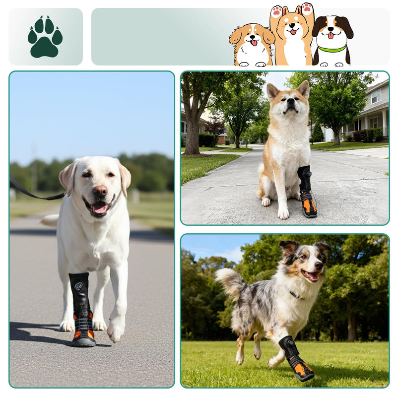 Correction Aid for Dogs Joints Shoes Orthosis Foot Lifter for Dogs Corrective Walking Aid for Foot Problems Secure Toe Lifter Improves Gait & Running L gray
