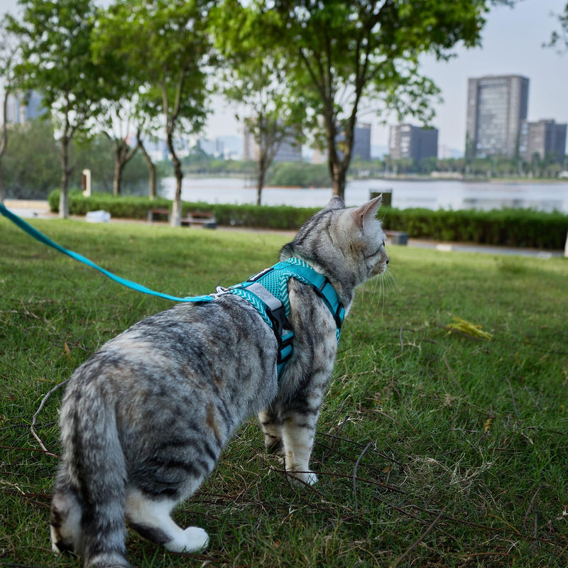 Cat Harness and Leash Escape Proof Extra Large Kitten Harness Maine Coon Cat Vest for Walking Travel, Turquoise, XL X-Large