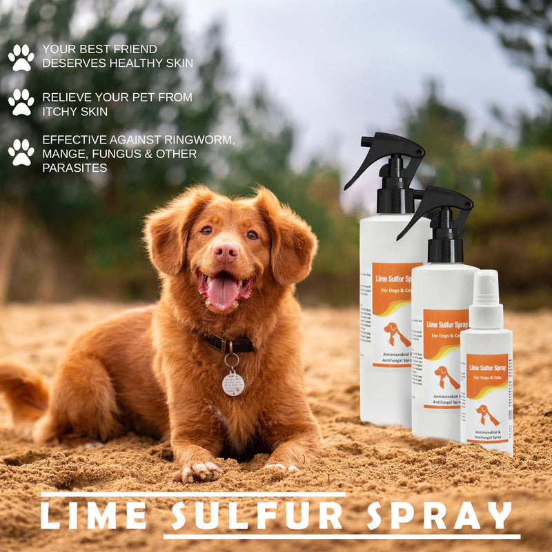 Classic's Lime Sulfur Spray Pet Care for Dry and Itchy Skin - Spotcare and Safe Solution for Dog, Cat, Puppy, Kitten, Horse (8 oz) - PawsPlanet Australia