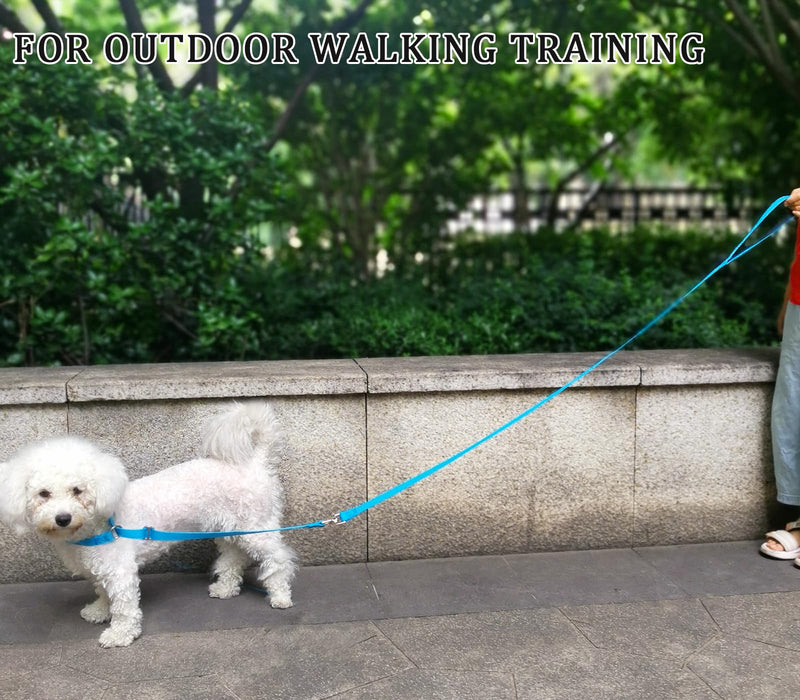 Slip Leash Dog Training Lead, Reflective Tangle-Free Adjustable No Pull Control Leash, 6 FT 3/4" Flat Wide Nylon with Padded Handle for Small Medium Dogs, Purple 3/4" x 6ft - PawsPlanet Australia