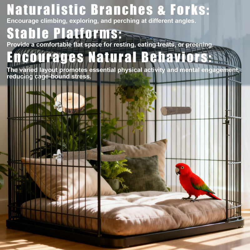 6 PCS Bird Perch Set, Natural Birch Wood Straight & Forked Perches with Platforms for Parakeets, Cockatiels, Conures, Lovebirds - Cage Accessories for Climbing & Exercise BMU6