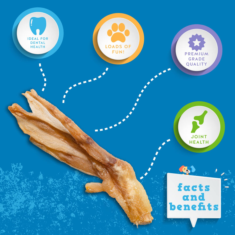 Jack&Pup Duck Feet for Dogs – All Natural Dog Chews, Single Ingredient Dehydrated Duck Feet Dog Treats – Great for Small & Medium Dogs (20 Count) Great Alternative to Chicken Feet 20 Count (Pack of 1) - PawsPlanet Australia