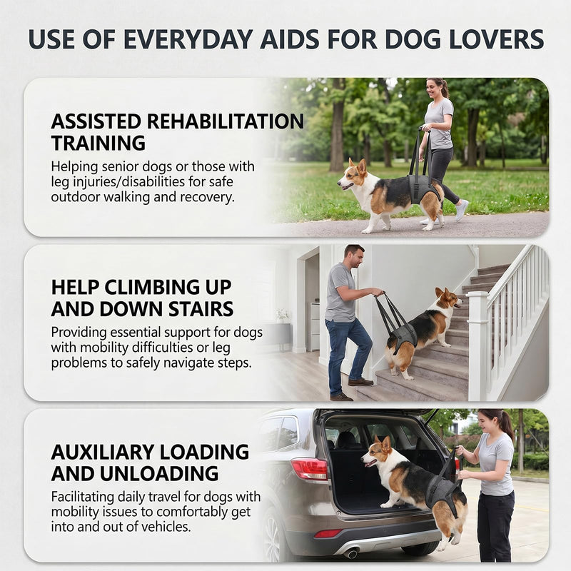 Adjustable Dog Lifting Harness | Hip Support Sling Arthritis Dog Harness Disabled Dog Sling Elderly Dog Lifting Strap | Fits Small Medium Big Breeds | Padded Straps for Walks Stairs Car Rides Rehab(M) M