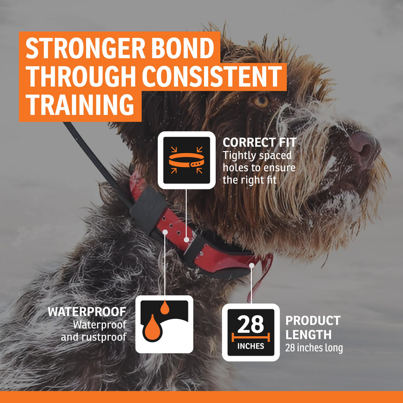 SportDOG 1-Inch Collar Straps - Waterproof Replacement Strap - Custom Fit Holes for Secure Fit - Rustproof Roller Buckle - Orange 1-Inch (Pack of 1)