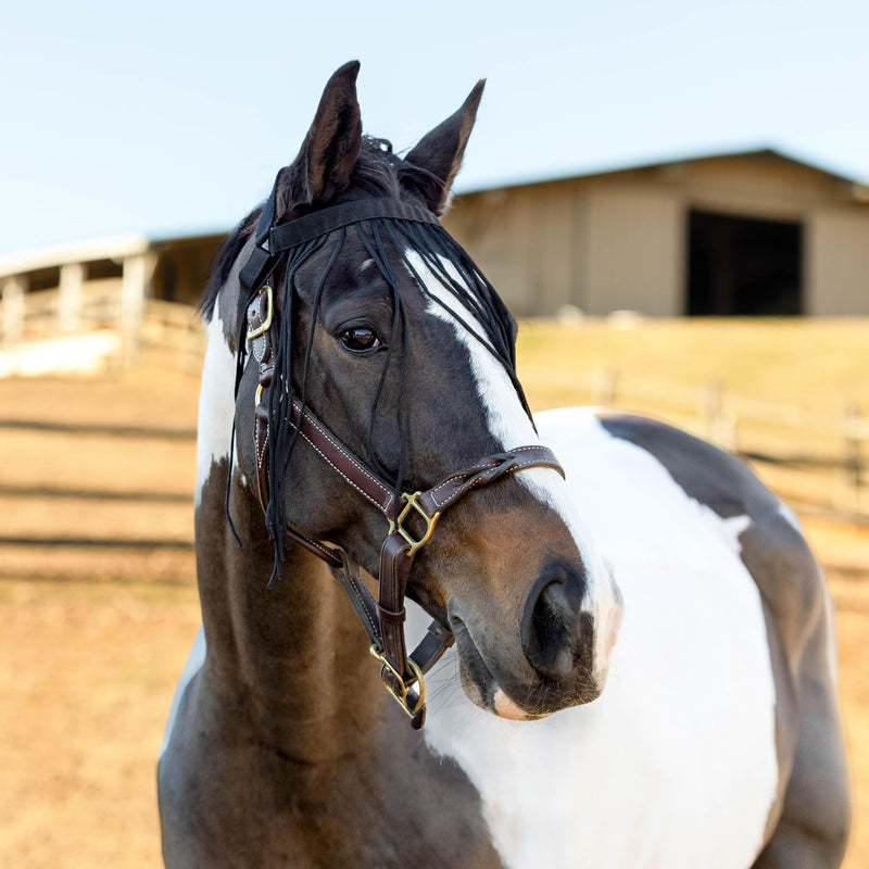 Horze Simple Lightweight Insect and Fly Veil for Sensitive Horses - No Halter Needed - Black - M