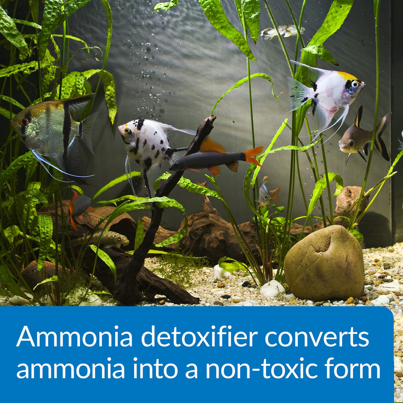 API Ammo-Lock Ammonia Detoxifier and ACCU-Clear Aquarium Water Clarifier 16 oz Aquarium Treatment+ ACCU-CLEAR