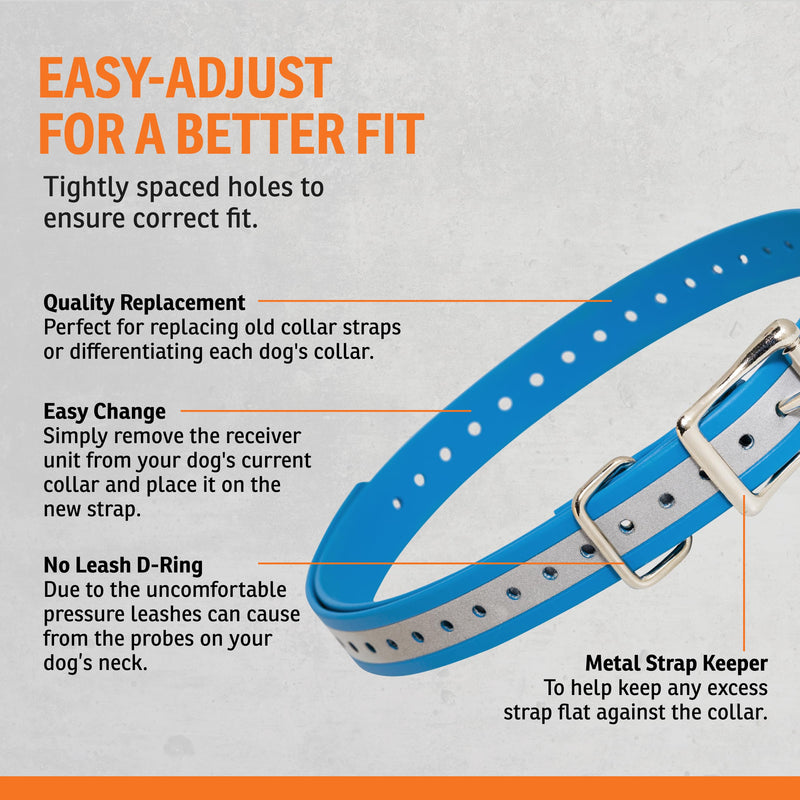 SportDOG 3/4-Inch Collar Strap - Waterproof Replacement Strap for Rugged Outdoor Use - Adjustable Collar with High Visibility - Reflective Blue 28 inches long, 3/4 inch wide (Pack of 1) - PawsPlanet Australia