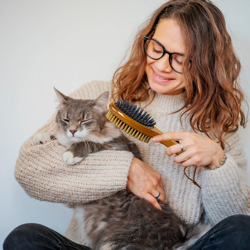 TAKAVU Short Hair Dog Cat Brush, Double-Sided Silicone & Bristle Pet Grooming Brush for Removing Dirt & Loose Hair, Coats Detangling Deshedding, Massage Pet Skin, Wood Handle Pet Comb White Boar Bristle & Silicone Brush - PawsPlanet Australia