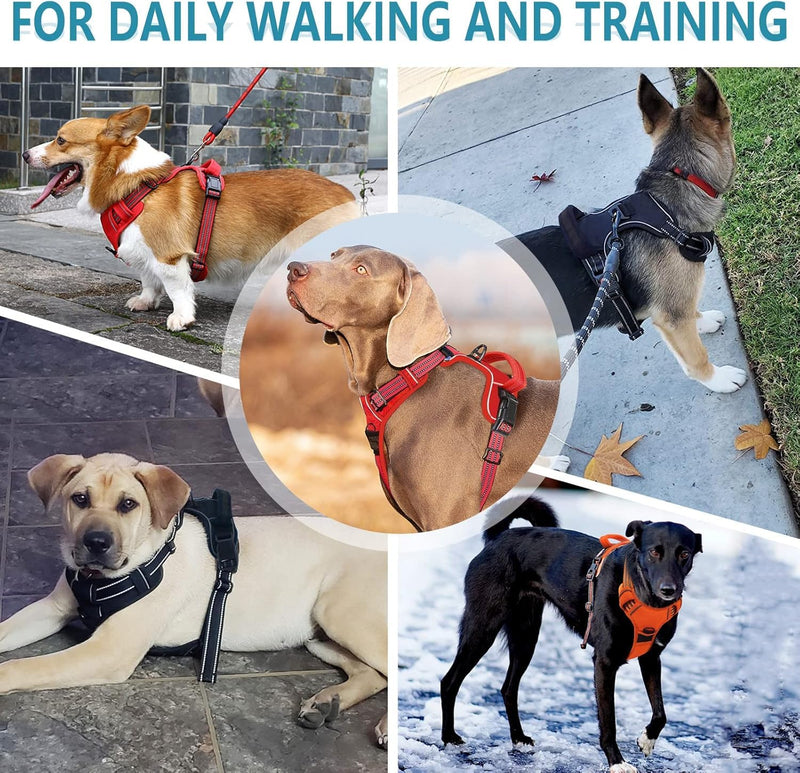 No Pull Dog Harness for Medium Dog with Dog Leash Adjustable Reflective Pet Vest with Front Clip Padded Harness and Lead Set Black M Black Harness+Leash - PawsPlanet Australia
