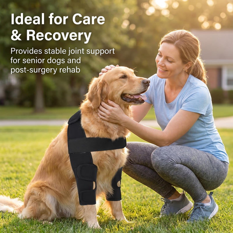 Dog Double Front Leg Braces, Breathable Canine Front Leg Support Wrap, Adjustable Dog Knee Brace for Joint Injury, Arthritis, Post Surgery Recovery, Outdoor Walking Protection, Black S Size