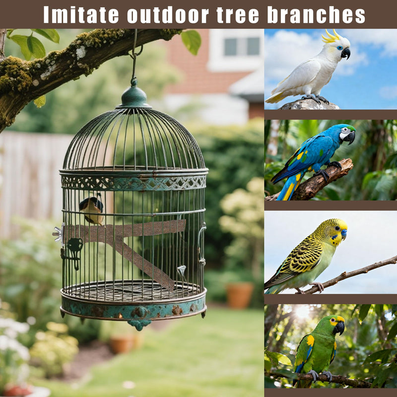 6 PCS Bird Perch Set, Natural Birch Wood Straight & Forked Perches with Platforms for Parakeets, Cockatiels, Conures, Lovebirds - Cage Accessories for Climbing & Exercise BMU6