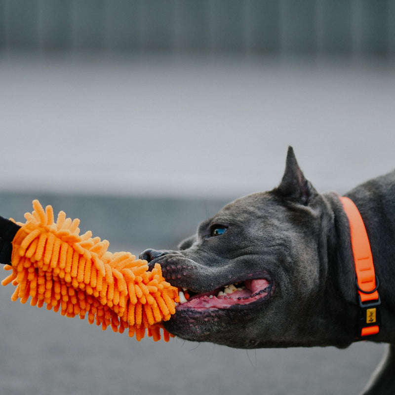 Dingo shaggy toy for dogs, soft nubby-textured, noodle plush that dogs love to play and cuddle with, tug toy with bungee strong shock tugger for dog training, agility sport, tug of war 9-18in orange 15673 - PawsPlanet Australia
