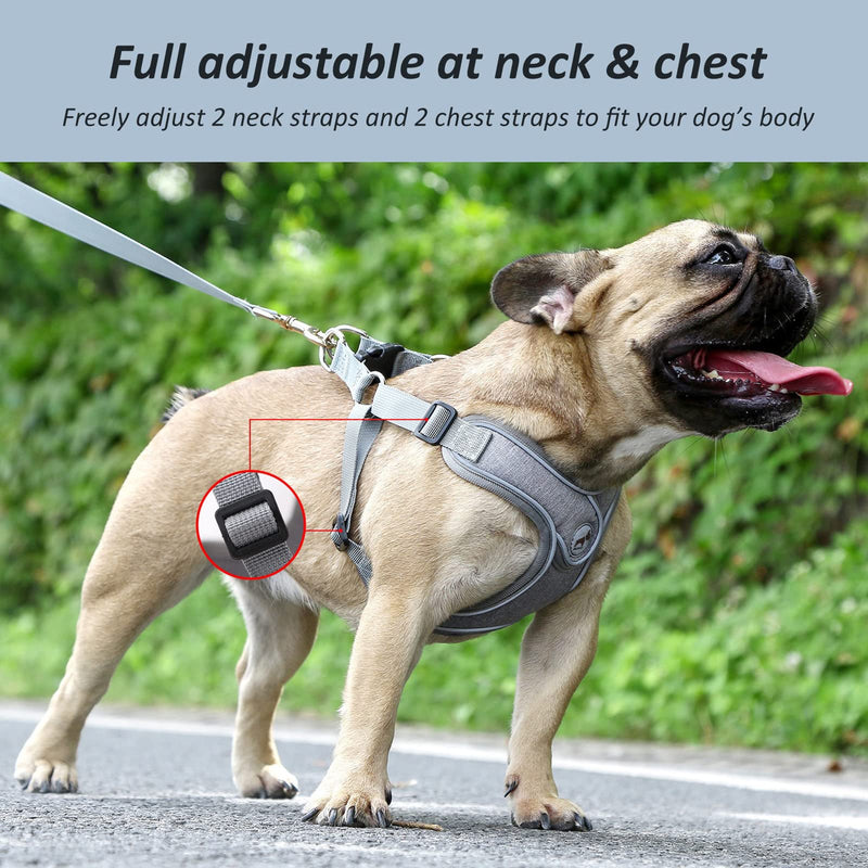 Dog Frenchie Harness with Leash Set, No Pull Adjustable Step in with Breathable Padded Vest Harness for Small Medium Large Dogs Walking and Running(M, Gray) - PawsPlanet Australia