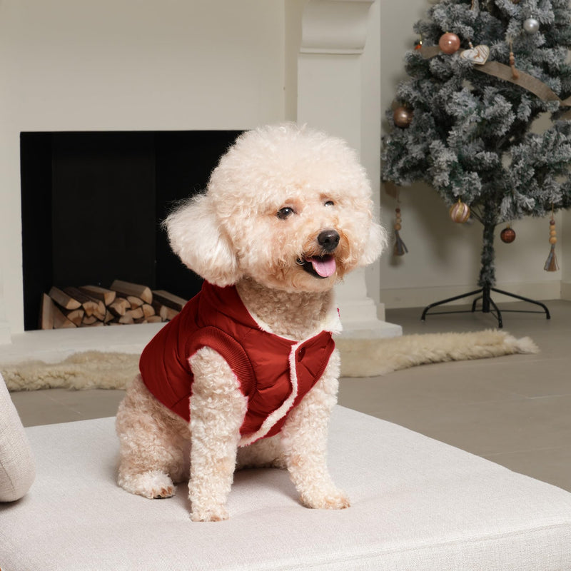 Fleece Lining Extra Warm Dog Hoodie in Winter for Small Dogs Jacket Puppy Coats with Hooded,Red M Medium (Pack of 1) Red - PawsPlanet Australia