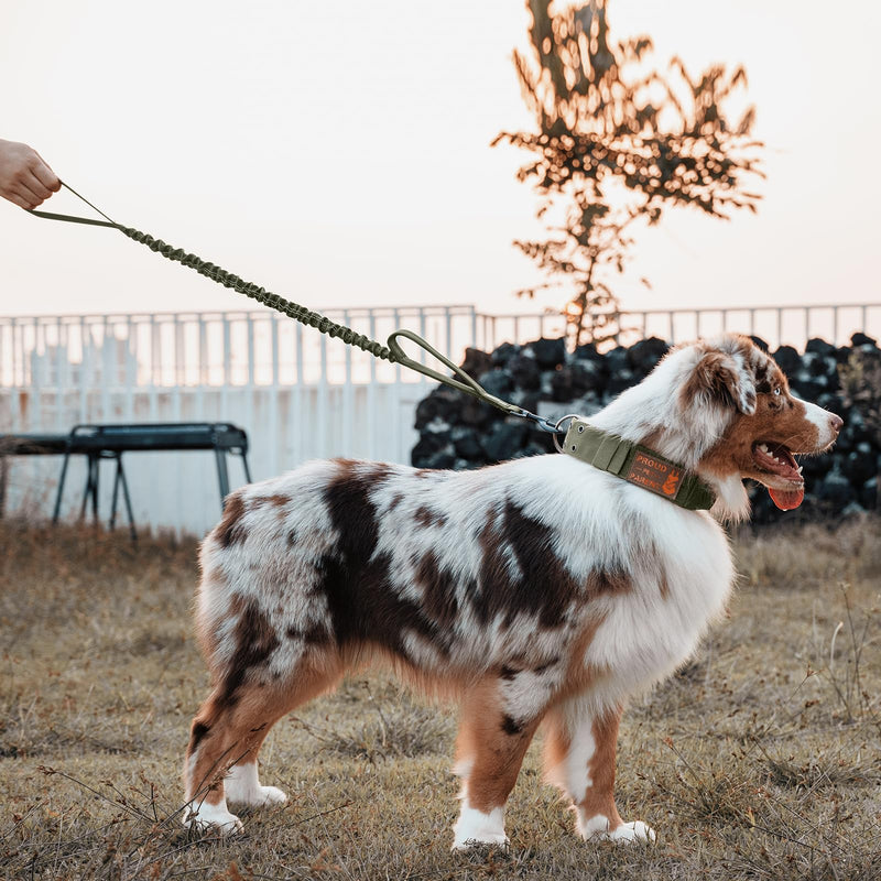 OneTigris Heavy Duty Bungee Dog Leash with Control Handle and Quick Release, Shock Absorption for No Pull Training (Green) Green - PawsPlanet Australia