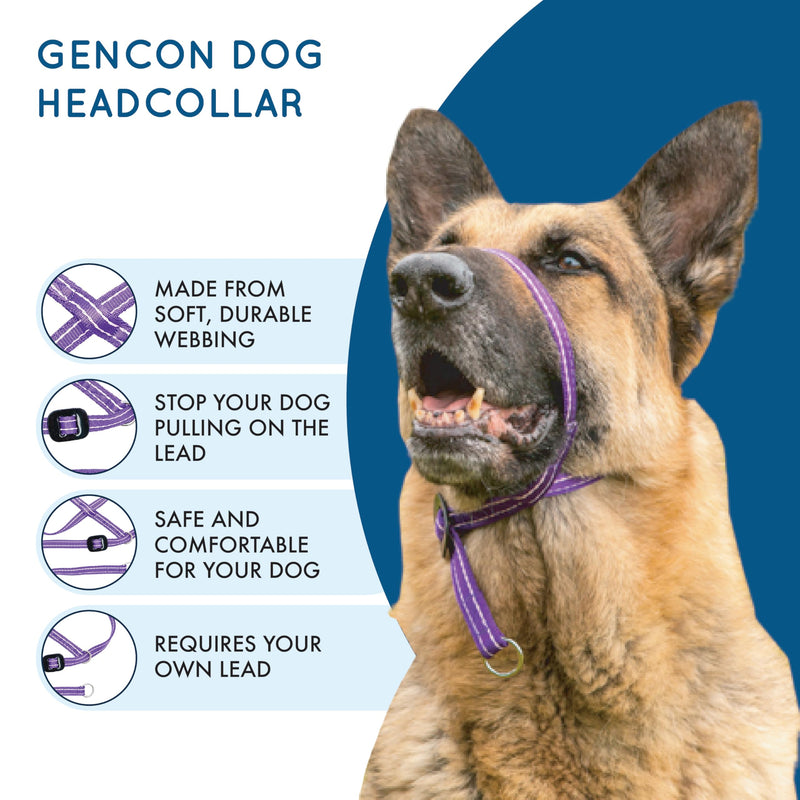 Medium Size Anti Pull Dog Headcollar - Trainer Approved - Soft & Gentle Control - Practical Dog Training & Behaviour Aid - Right Hand - UK Made - Doesn't Include Lead - Purple/Pink Medium - PawsPlanet Australia