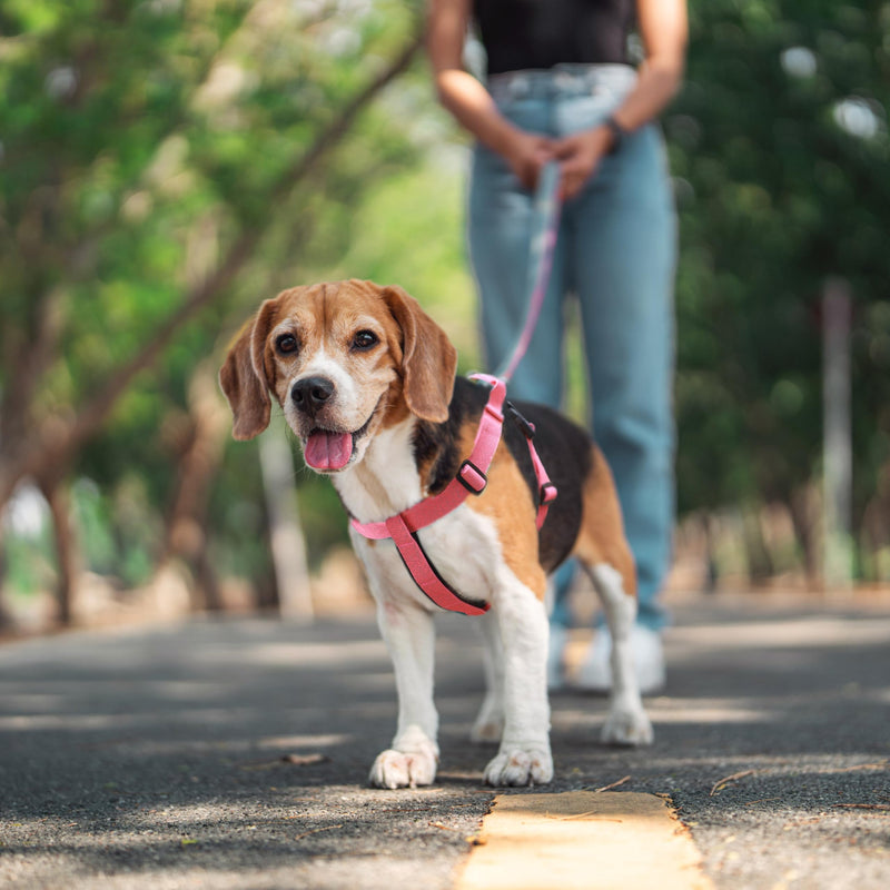 Galaxy Reflective Dog Harness,Adjustable 4-Point Fit,Anti-Pinch Buckles,Back-Clip Control & Emergency Handle,Velvet Lined for Small, Medium and Large Dogs, (Pink, L) L (Chest 31’’-39’’) Pink - PawsPlanet Australia