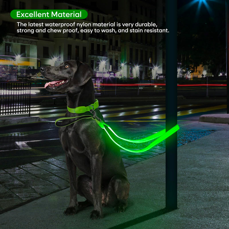 LED Dog Leash, Light Up Dog Leash 4 Ft Fully Illuminated USB Rechargeable Waterproof, Nylon Reflective Leashes with Padded Handle for Dogs Night Walking, Safety Glow in The Dark for Large Medium Pets Green - PawsPlanet Australia