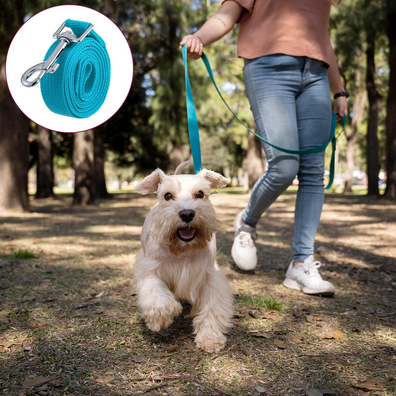 15 Pcs Puppy Leash Nylon Dog Leash Bulk Pet Rope Leashes with Swivel Hook 5ft Training Leashes for Small Medium Dogs Training Walking Hiking Camping Or Backyard (15 Colors) - PawsPlanet Australia
