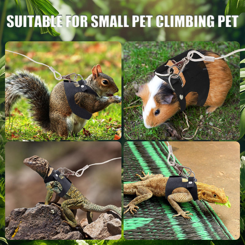 Bearded Dragon Leash and Harness Set, 3 Size Adjustable Soft Leather Lizard Leash Training Walking Prevent Escape, Spring Can be Stretched to 3m, for Iguana Squirrels Small Reptiles Outdoors (Black) - PawsPlanet Australia