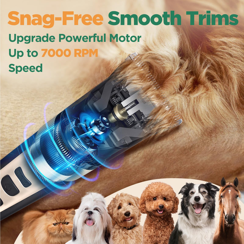 Gimars 2 in 1 Ceramic Blade Dog Grooming Clippers with Small Trimmer, Upgraded 7000 RPM Powerful Motor Quiet Rechargeable Dog Shaver Hair Clippers Kit with Comb, Scissors USB Cordless Electric Clipper Gold 4 in 1 - PawsPlanet Australia