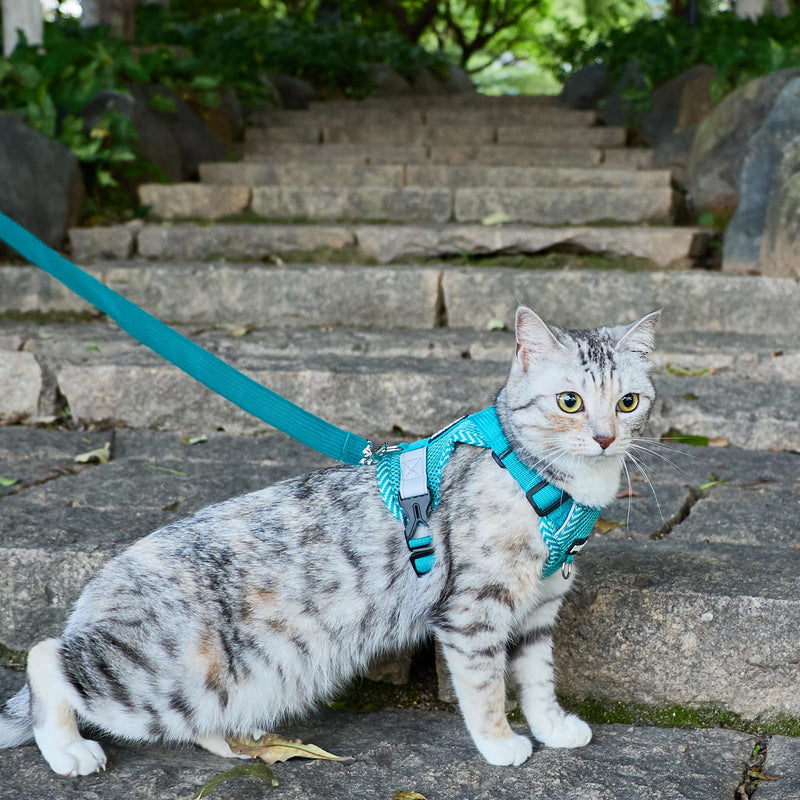 Cat Harness and Leash Escape Proof Extra Large Kitten Harness Maine Coon Cat Vest for Walking Travel, Turquoise, XL X-Large