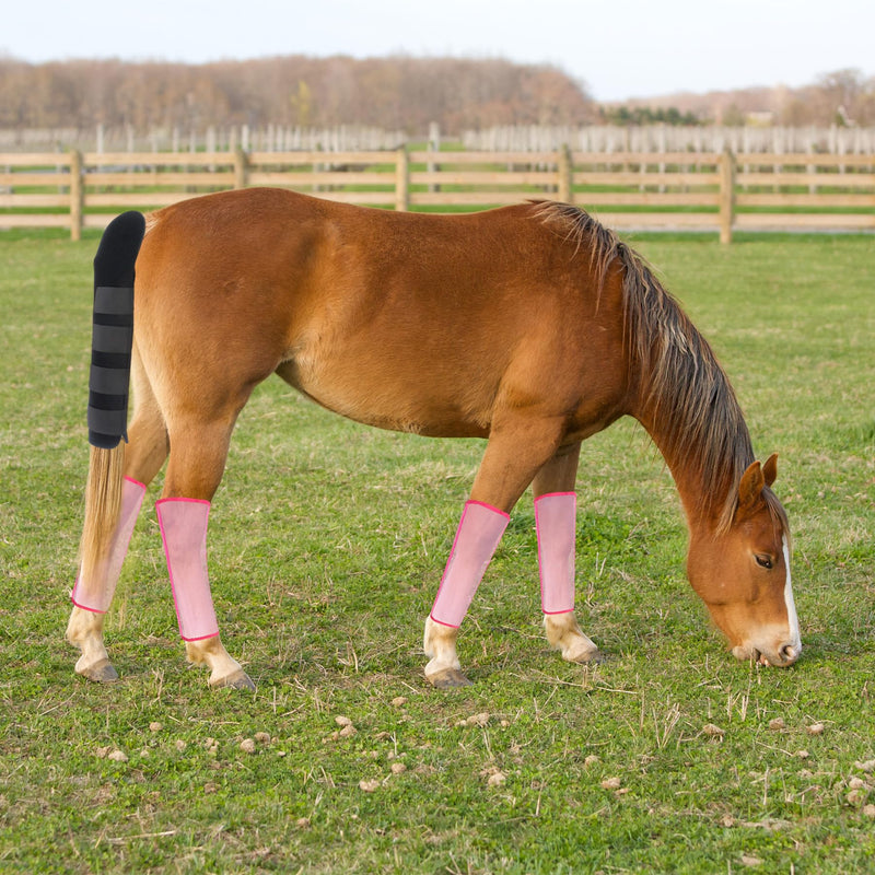 Horse Tail Wrap Protector & 4 Fly Boots Set, Breathable Mesh Leg Wraps & Adjustable Tail Guard for Fly & Mosquito Protection in Stable, Trail Black, Pink - PawsPlanet Australia