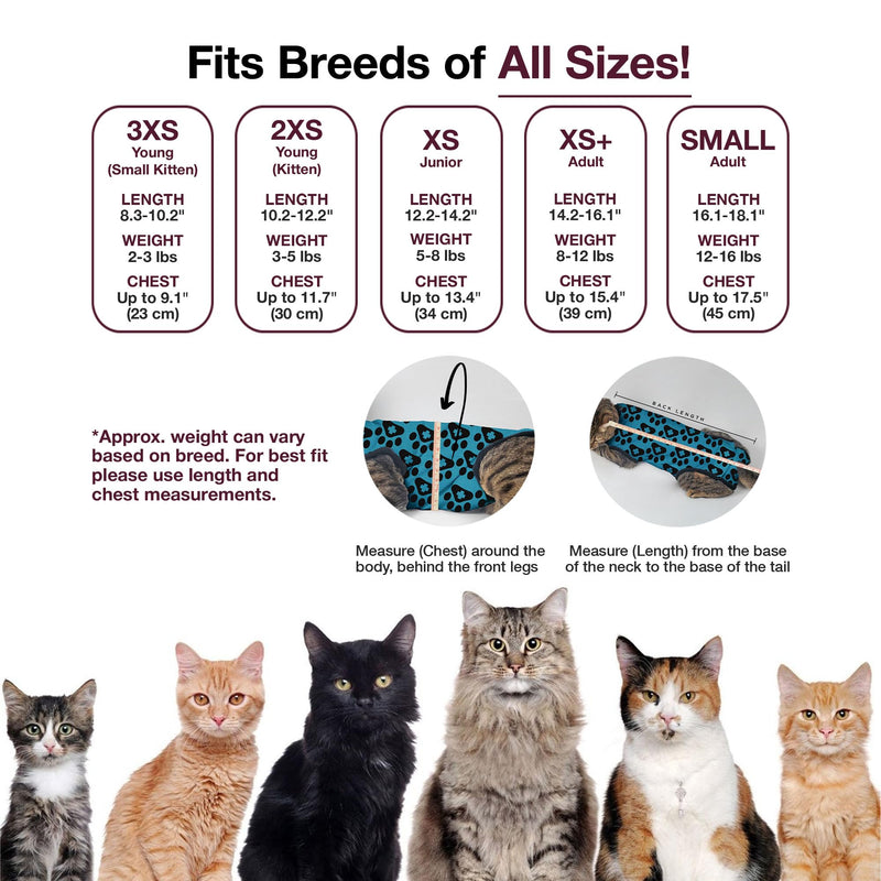 Bellyguard Cat Recovery Suit for Female and Male, Cat Surgery Suit Alternative, Onesie for After Spay Care, Post-Surgery Protective Body Cover for Feline and Kitten Healing XSmall+ Maroon