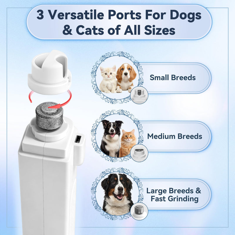 2-in-1 Dog Nail Clippers & Grinder with Light, Quiet Electric Pet Nail Trimmer for Large Medium Small Dogs & Cats, 3 Speeds, Rechargeable, Splash Guard & Safety Lock, Painless Grooming Tool (White) - PawsPlanet Australia